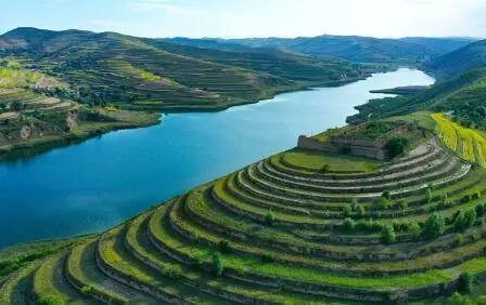 重點行業(yè)VOCs治理“一企一策”!寧夏空氣質量持續(xù)改善行動實施方案公開征求意見