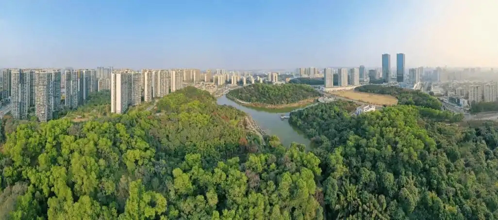 “三進(jìn)三同”攜手共進(jìn),江門站助力區(qū)縣監(jiān)測(cè)見成效
